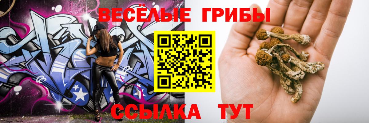 Великие Луки  Псилоцибиновые грибы прущие грибы  Вход с VPN 