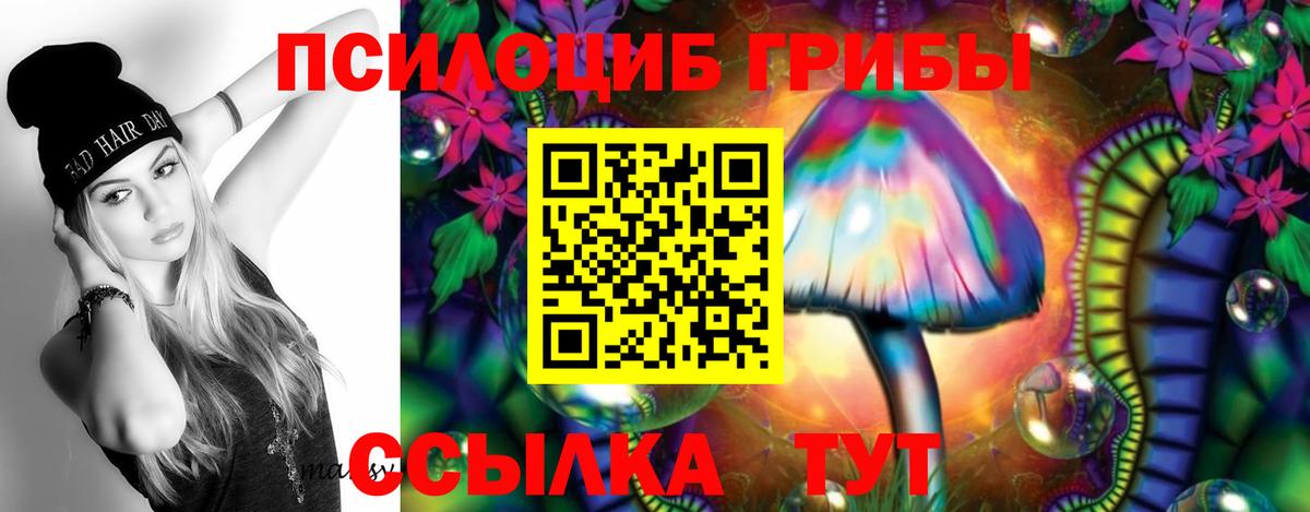 Галлюциногенные грибы мицелий Великие Луки